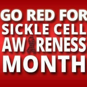 Meet your Posher, Genor